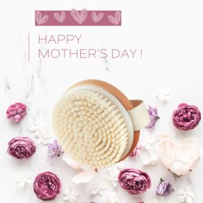 Dry brush / testradírozó kefe