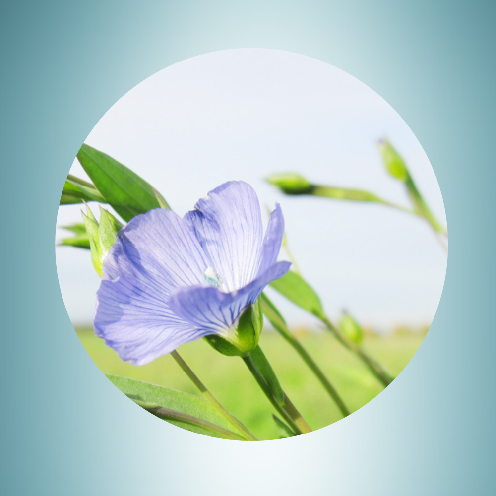 Cryo eye professional treatment